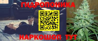 стафф Ставрополь