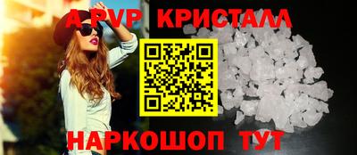 стафф Ставрополь