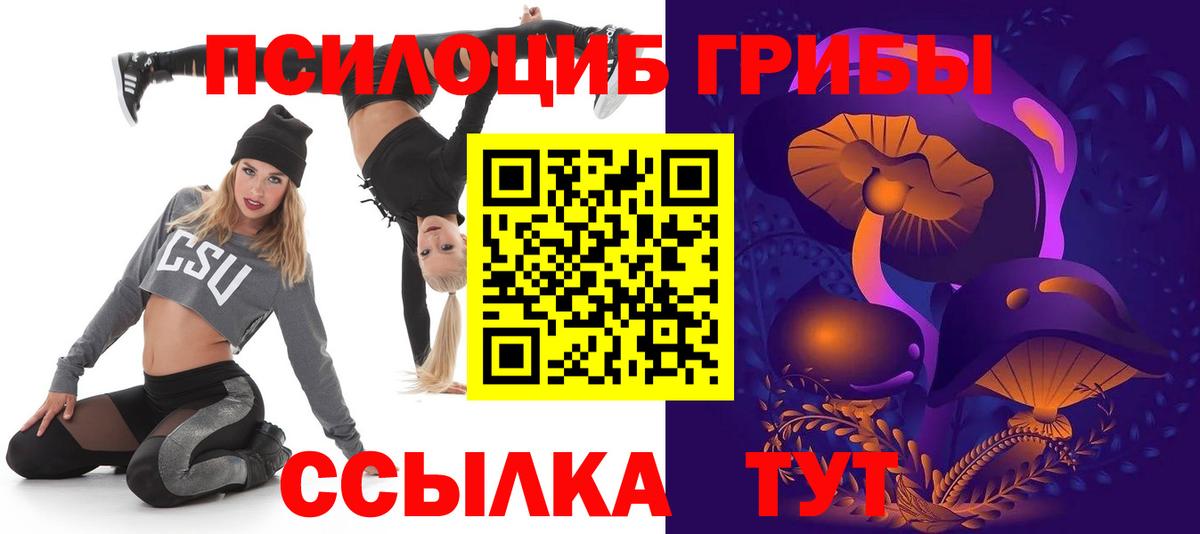 Псилоцибиновые грибы Cubensis Юрга