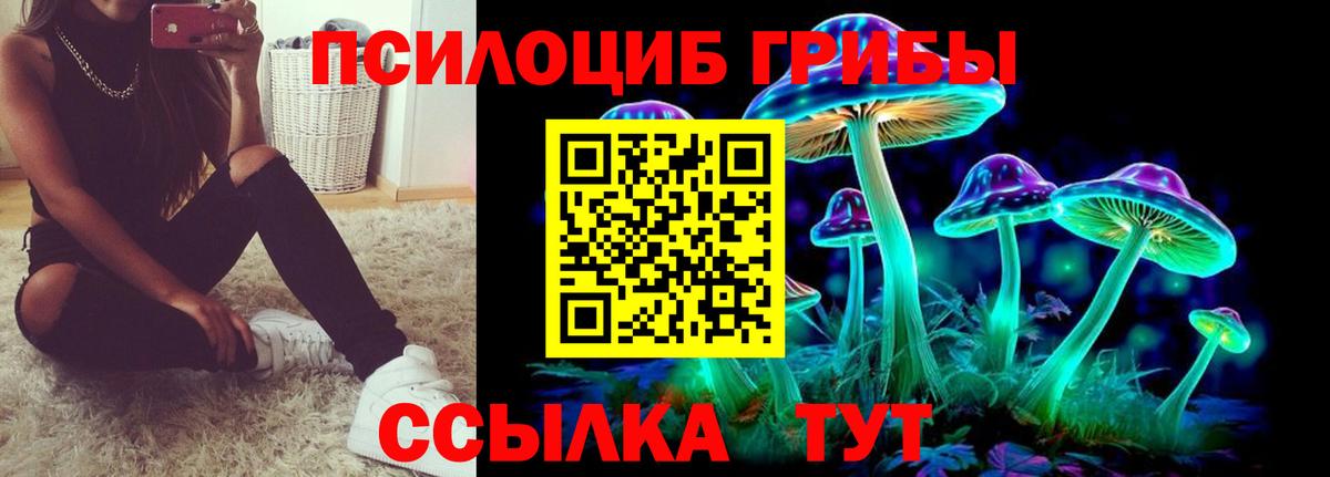 Псилоцибиновые грибы GOLDEN TEACHER  Галлюциногенные грибы Psilocybe  Вход с VPN  Юрга 